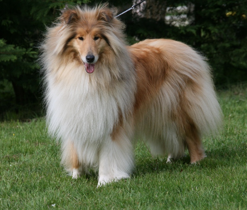 Baby doll dite "Belle" Du Clos De Seawind