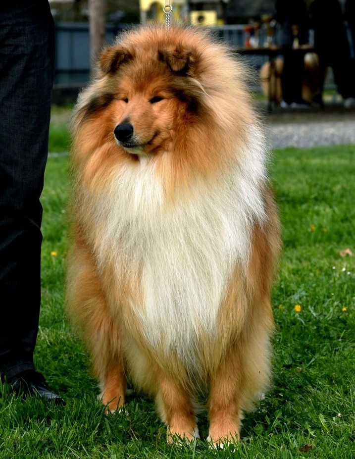 TOO MUCH HEAVEN Du Clos De Seawind