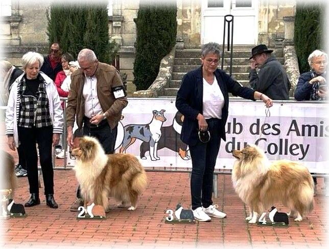 28.09.2025 : Régionale Colleys Nouvelle Aquitaine