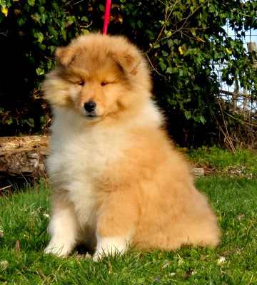 A TIME-FOR-LOVE du Clos de Sea-Wind