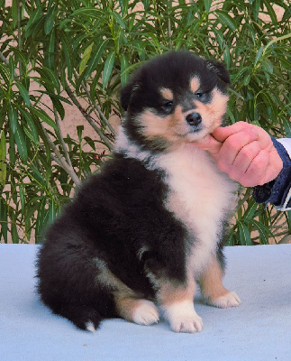 ASTON du Clos de Sea-Wind