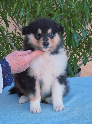 AT MIDNIGHT du Clos de Sea-Wind